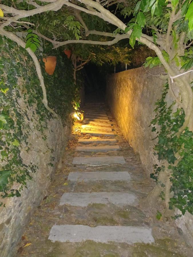 Отель Casa Vila Palmeira Fermela Экстерьер фото